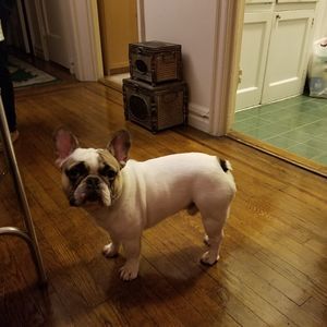 Meet your Posher, Nelson